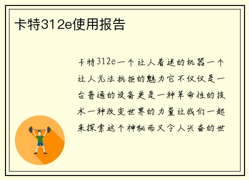 卡特312e使用报告